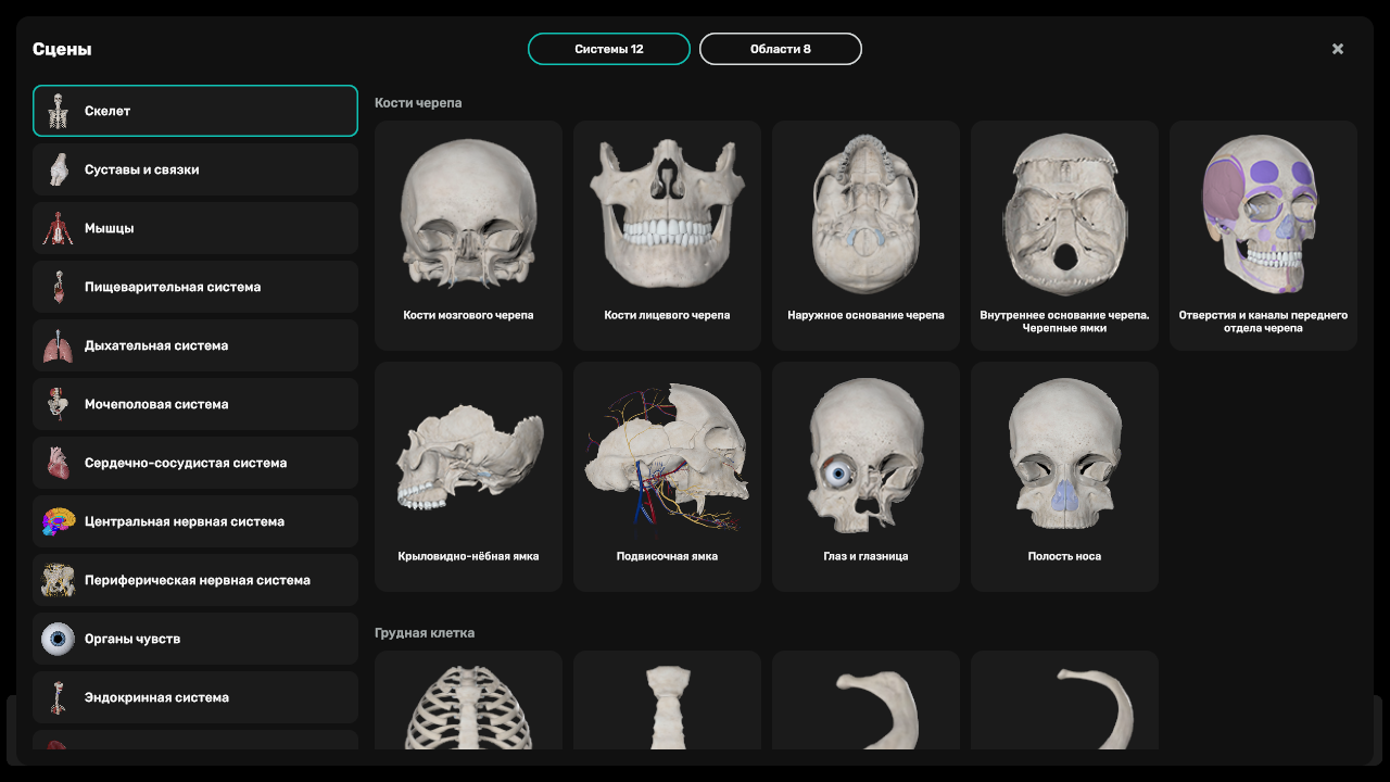 Szenenkatalog von Easy Anatomy: Organsysteme, Schädel, Augenhöhle und Nasenhöhle
